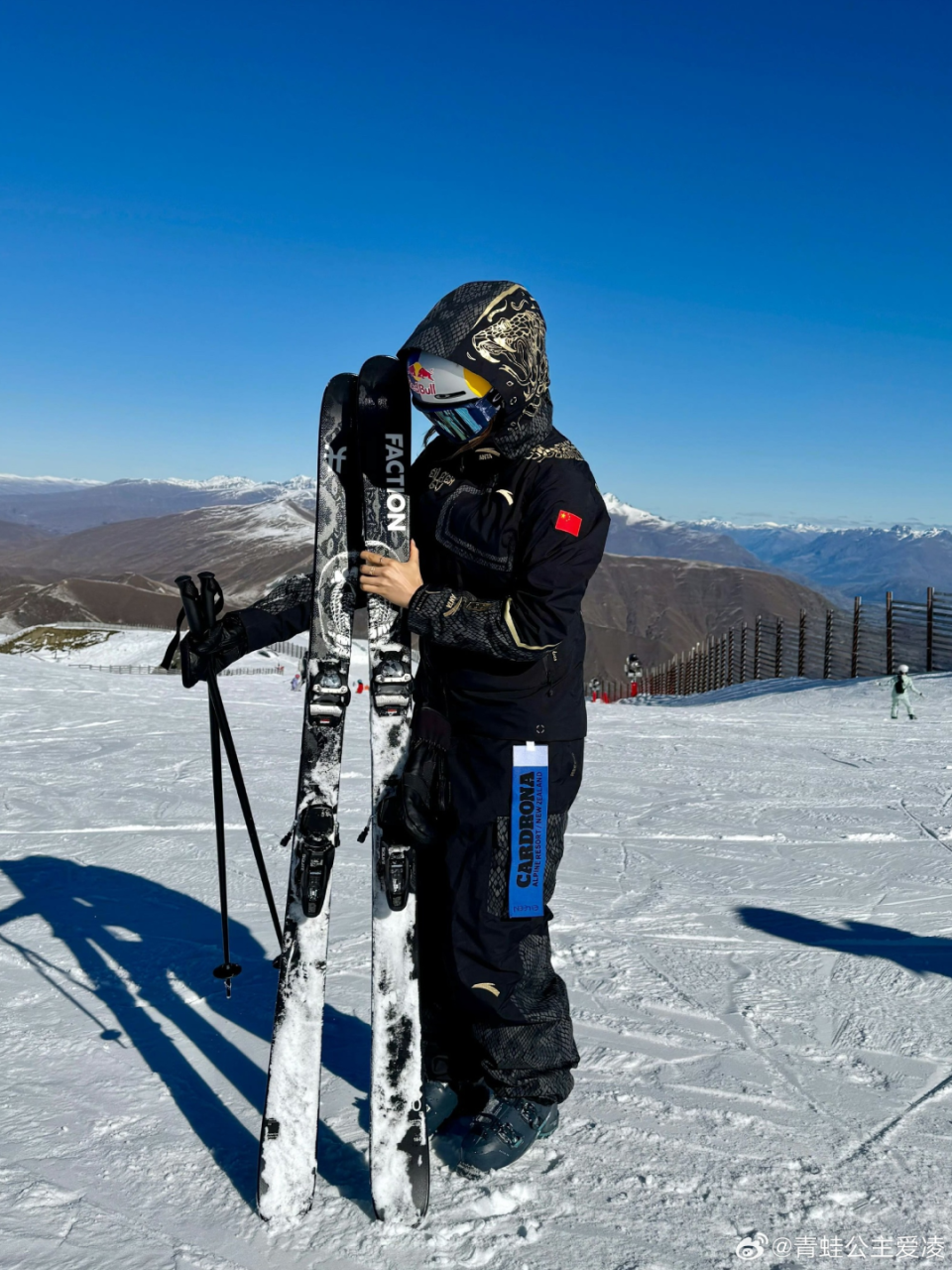 家团队的最, 莱克斯公开, PCa 家团队的最, 莱克斯公开, PCa