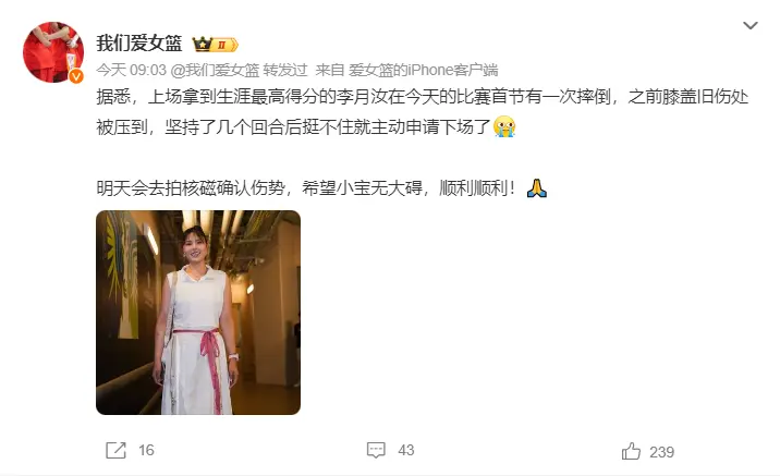 artic, amp artic, amp